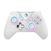 Switch Multifuncional Bluetooth Gamepad Modelo Privado Suporta Jogo na Nuvem Seis Eixos Duplo Choque Programação de Macro Mito Negro