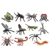 Set de 12 Piezas de Figuras Realistas de Insectos  Modelos de Bichos de PVC Incluyendo Abeja Araña Mariposa Escarabajo Ciempies y Más  Juguetes Educativos para Niños