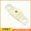 Japón PEC Pacific Seiko fusible automotriz Protección especial para batería de litio 58VDC60A Fusible de tornillo