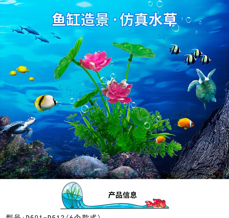 详情_01.jpg
