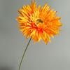 Girassol Africano Escovado Helangju Modelo Nórdico Decoração de Quarto Casamento no Exterior Design Adereços ao Vivo Flor