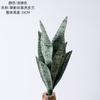 Planta Verde con Patrones tipo Jade, Planta Falsa de Piel de Tigre, Flores Artificiales al por Mayor para Decoración de Bodas, Flores Artificiales Transfronterizas de Instagram