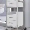 Carrito de Herramientas Especiales para Salón de Peluquería, Carrito para Tienda de Peluquería, Estante de Almacenamiento, Carrito de Almacenamiento de Metal para Barbería Sin Instalación