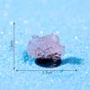 Novo micropaisagem transfronteiriça, aquário de corais luminosos, paisagismo oceânico, acessórios de decoração faça você mesmo, mini ornamentos pequenos