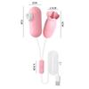 Vibrador de flerte Laile Plugue direto USB Vibração multifrequência Massageador feminino Brinquedos adultos Brinquedos sexuais Atacado