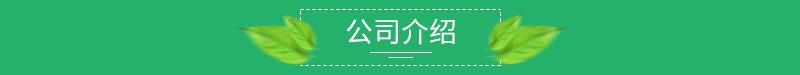 公司介绍