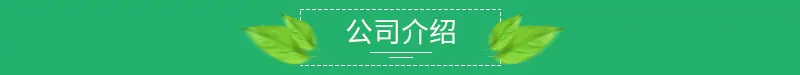 公司介绍