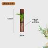 Soporte de Flores de Madera para Montar en la Pared Madera Maciza Estilo Ins Soporte de Flores de Pared Arreglo Floral de Madera Soporte para Tubos de Ensayo de Vidrio de Madera