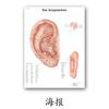 Póster de Análisis de Enfermedades Humanas de Aliexpress Hígado, Intestinos, Pulmones, Estómago, Rasgos Faciales, Piel, Pintura Colgante de Educación Médica Pintura Decorativa Central
