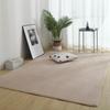 Tapete de Veludo Coral, Pelo Curto, Cobertura Total para Quarto, Lateral de Cama Tatami, Janela de Canto da Sala, Tapete de Chão Peludo, Tapete Doméstico Emendado