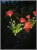 Comercio Electrónico Transfronterizo Solar LED Exterior Impermeable Jardín Montado en Suelo Decorativo Araña Artificial Lirio Acero Inoxidable Lámpara de Césped