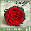 Ramo Mini de Rosas Eternas Regalo para el Día de San Valentín, Regalo para Novia, Ramo Eterno al por Mayor para Montar en Coche