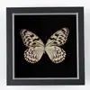 Moldura com Espécime Preservado de Borboleta Real, Decoração de Parede Tridimensional Vintage para Sala de Estar Entrada, Pequena Peça Decorativa de Coleção de Arte