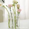 Jarrón de vidrio transparente con forma de tubo de ensayo, simple, para el hogar, con flores hidropónicas, para decorar, con combinaciones gratuitas.