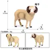 Simulación Cognitiva Animal Sólido Aves de Corral Ganado Burro Modelo Cría Burro Manchado Burro Juguete Burro Adornos