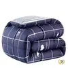 Atacado do Fabricante Colcha Grossa Quente de Inverno para Dormitório de Estudante Solteiro, Núcleo de Colcha Dupla, Roupa de Cama, Colcha de Penas e Seda para Quatro Estações