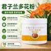 Floração Rápida Florada de Pólen Pólen Osmanthus Bougainvillea Clivia Planta Flor Universal Forte Mudinha Enraizamento Floração Botão Promotor de Fertilizante