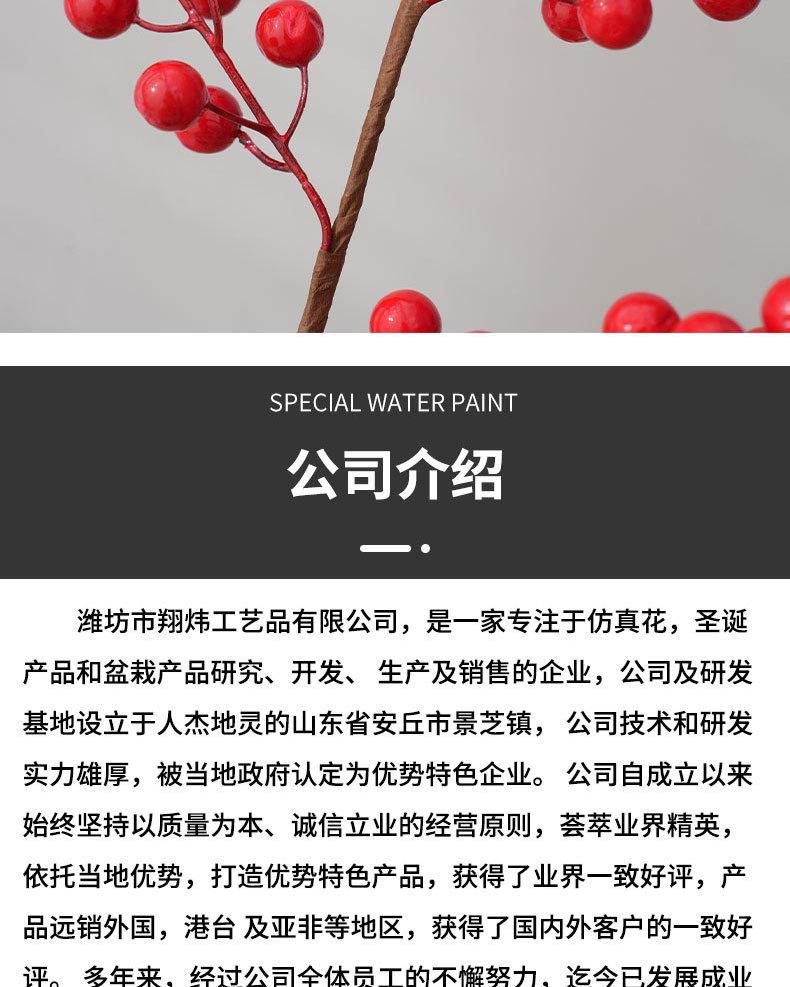 详情_11.jpg