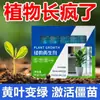 Regenerador de Plantas Solución Nutritiva Concentrada para Plantas Verdes, Flores, Plantas de Maceta, Fertilizante de Crecimiento para Jardinería Casera, Regenerador de Fertilizante Soluble en Agua