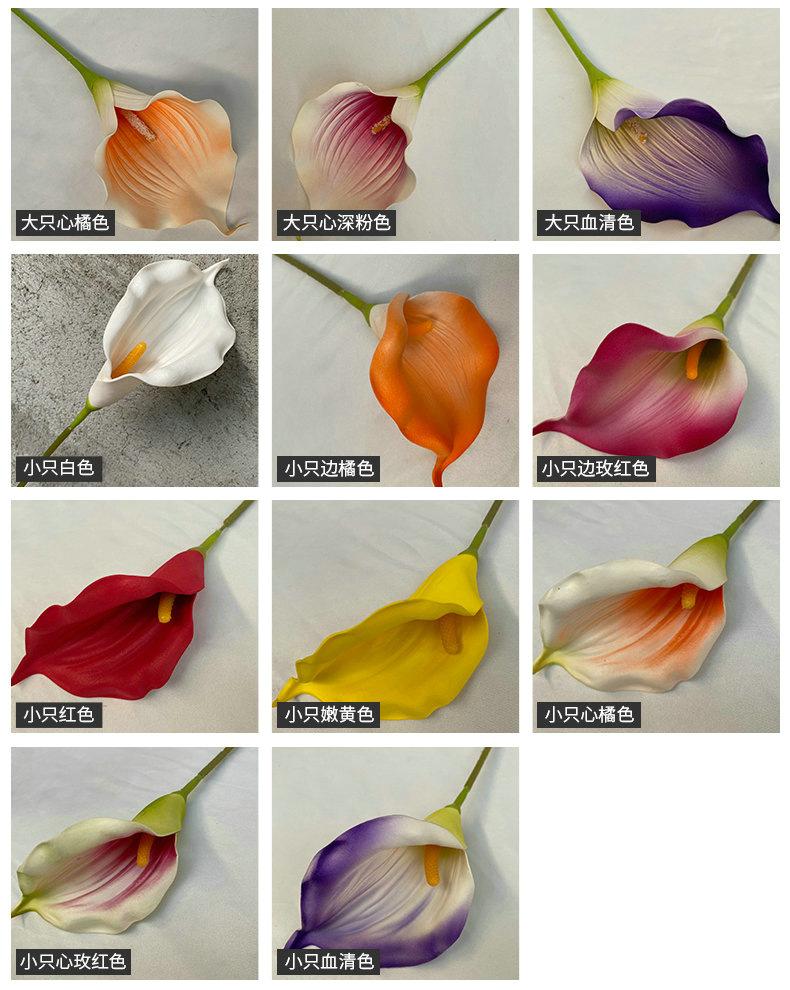 颜色2.jpg