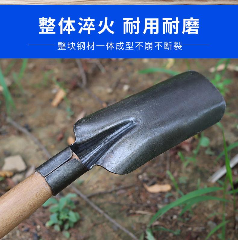 详情_06.jpg