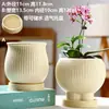 Vaso de Cerâmica para Flores com Prato, Estilo Ins de Luxo Leve, Diâmetro Grande, Estilo Creme, para Orquídeas e Suculentas, Liquidação