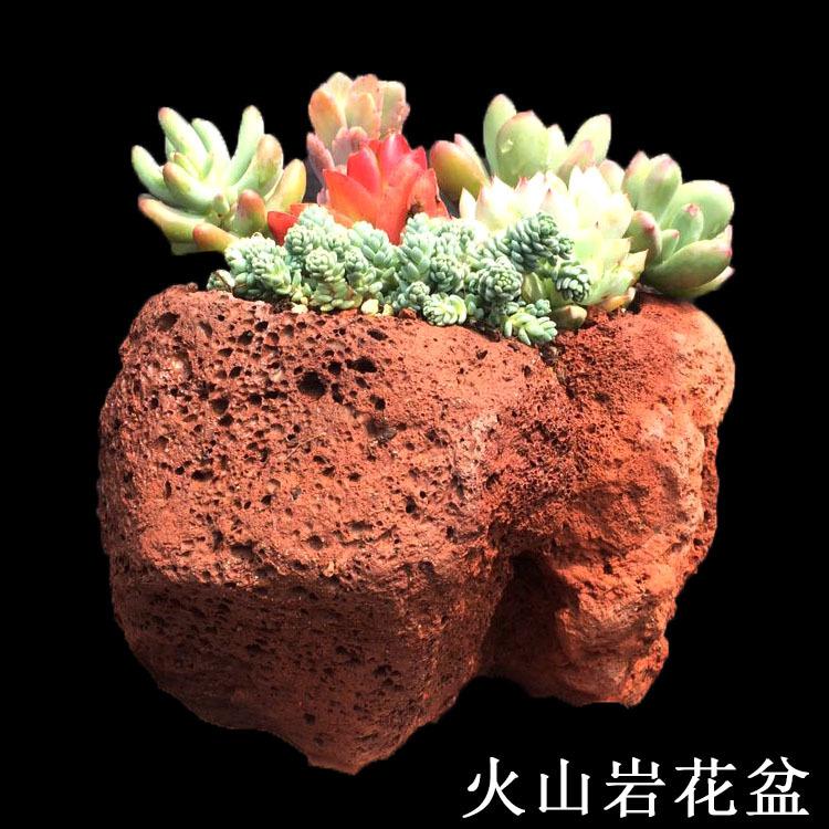 花盆