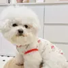 Cachorro Gato Pet Verão Fino Protetor Solar Anti-Lã Colete Roupas Corgi Bixiong Bomei Cão Pequeno Médio e Grande