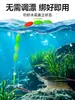 Juego de Anzuelo y Línea para Pesca de Camarones al por Mayor, Anzuelos para Camarones, Herramientas para Pesca de Camarones, Anzuelos para Camarones de Río, Camarones de Hierba, Camarones Verdes, Langosta, Cangrejo de Río