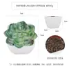 Más de 100 Tipos de Combinaciones de Plantas Suculentas Artificiales en Maceta Mini, Ventas Transfronterizas Populares, Estilo Sencillo Decoración del Hogar Flores Artificiales y Plantas Verdes, Directo de la Fábrica Fuente