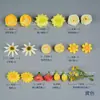 Bolsa de material para flores artificiais C caixa de flores com flores Xunpu grampo de cabelo flor cocar de minoria étnica fabricação chapéu decoração de chinelos