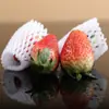 Venta Directa de Fábrica Cubierta de Malla para Fresas Cubierta Protectora Gruesa de Espuma para Frutas Bolsa de Espuma para Embalaje de Nisperos Transpirable Envío Gratis