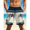 Pantalones Cortos de Playa Transpirables de Corte Recto y Holgado con Estampado Digital 3D para Hombre, para Uso en Exteriores, Transfronterizos