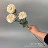 Nuevas 3 peonías, flores de peonía al por mayor, para bodas, hoteles, accesorios florales, paisajismo exterior.