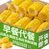 Academia de Ciências Agrícolas 2,5kg Frutas de Yunnan Milho Doce Crocante em Pedaços Fresco Embalado a Vácuo Pronto para Comer Café da Manhã para Dormitórios Estudantis Não Requer Cozimento
