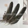 Accesorios para Joyería DIY Decoración de Plumas Tocado Broche Sombrero Zapatos Manualidades Hechas a Mano Decoración Educación Infantil Temprana