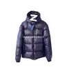 Chamarra de plumón cálida, a prueba de viento e impermeable, con bordado de caballo de guerra Rl, capucha desmontable, para hombres y mujeres, transfronteriza