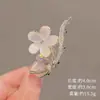 Presilha de Cabelo Coreana de Strass de Tamanho Médio para Adultos, Acessório de Cabelo, Presilha Pequena para Franja e Cabelo de Comprimento Médio