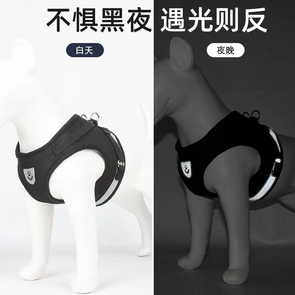 胸背