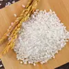 Yimi Sunshine Arroz del Noreste Arroz de Panjin Arroz de Campo de Cangrejos Suave y Pegajoso Arroz Nuevo de Temporada Empaquetado al Vacío para Gachas y Arroz 2.5kg