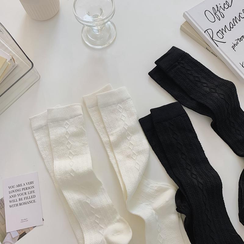 2022-01-24 034654.jpg