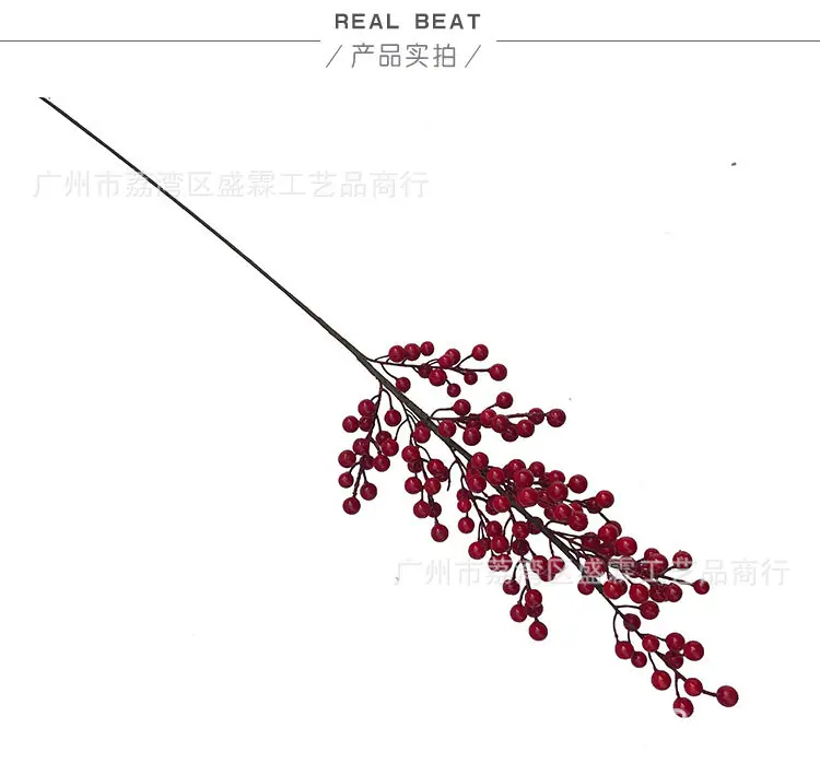 红果-(1)_04.jpg