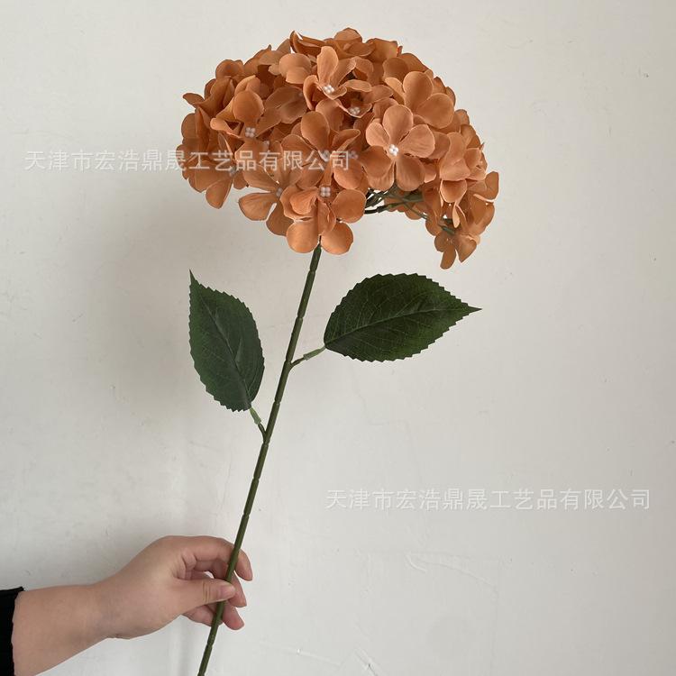 微信图片_202212121133422_副本