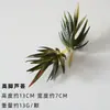 Cabeza de Flor de Terciopelo Carnosa Planta Artificial Falsa Combinación en Maceta de Sábila Cactus Plantas Verdes Adornos de Micro Paisaje