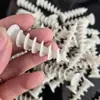 Tablero de Respaldo Impermeable Accesorios Especiales Anclajes de Garra de Acero Galvanizado Inoxidable Arandelas Aislantes Clavos Paraguas Tornillos de Nylon