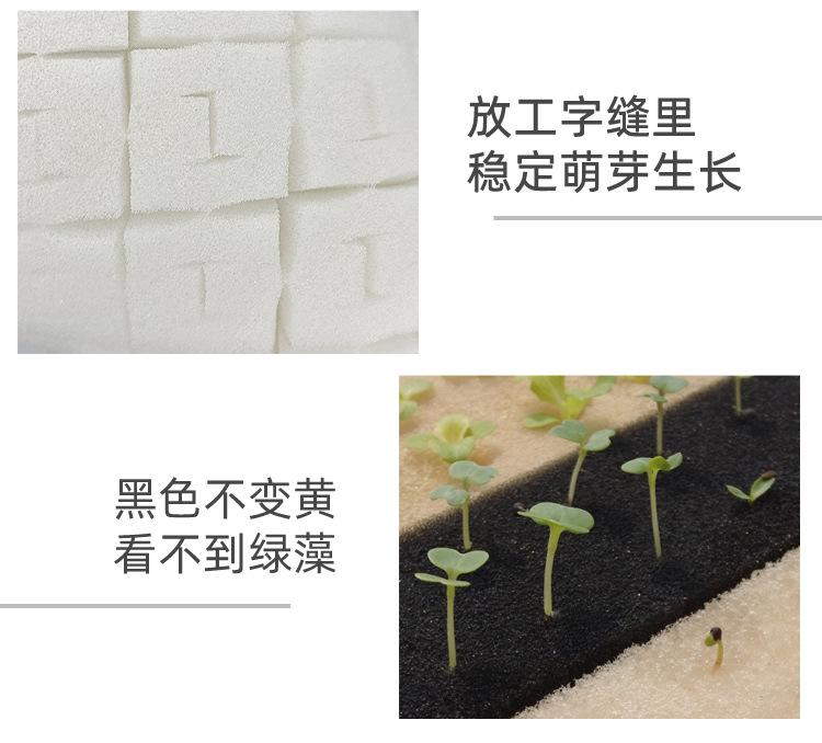 定植绵详情_12.jpg