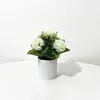 Venta Directa de Fábrica de 5 Arreglos Florales Artificiales de Claveles, Regalo para el Día de la Madre, Maceta Artificial Creativa para Sala de Estar y Mesa de Comedor