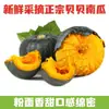 Calabaza Beibei Auténtica con Sabor a Castaña, Recién Recolectada, Suave y Desmenuzable, Suplemento Alimenticio para Bebés, Calabaza Pequeña Integral
