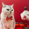  Collar Festivo de Año Nuevo para Mascotas, Flor Roja de Felpa con Perlas, Joyería de Lazo para Perro Gato, Collar