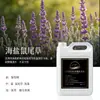 Líquido de recarga para aromaterapia, difusor de aceites esenciales sin llama para interiores, aromaterapia para hotel, ambientador de baño, aromaterapia en botella grande al por mayor